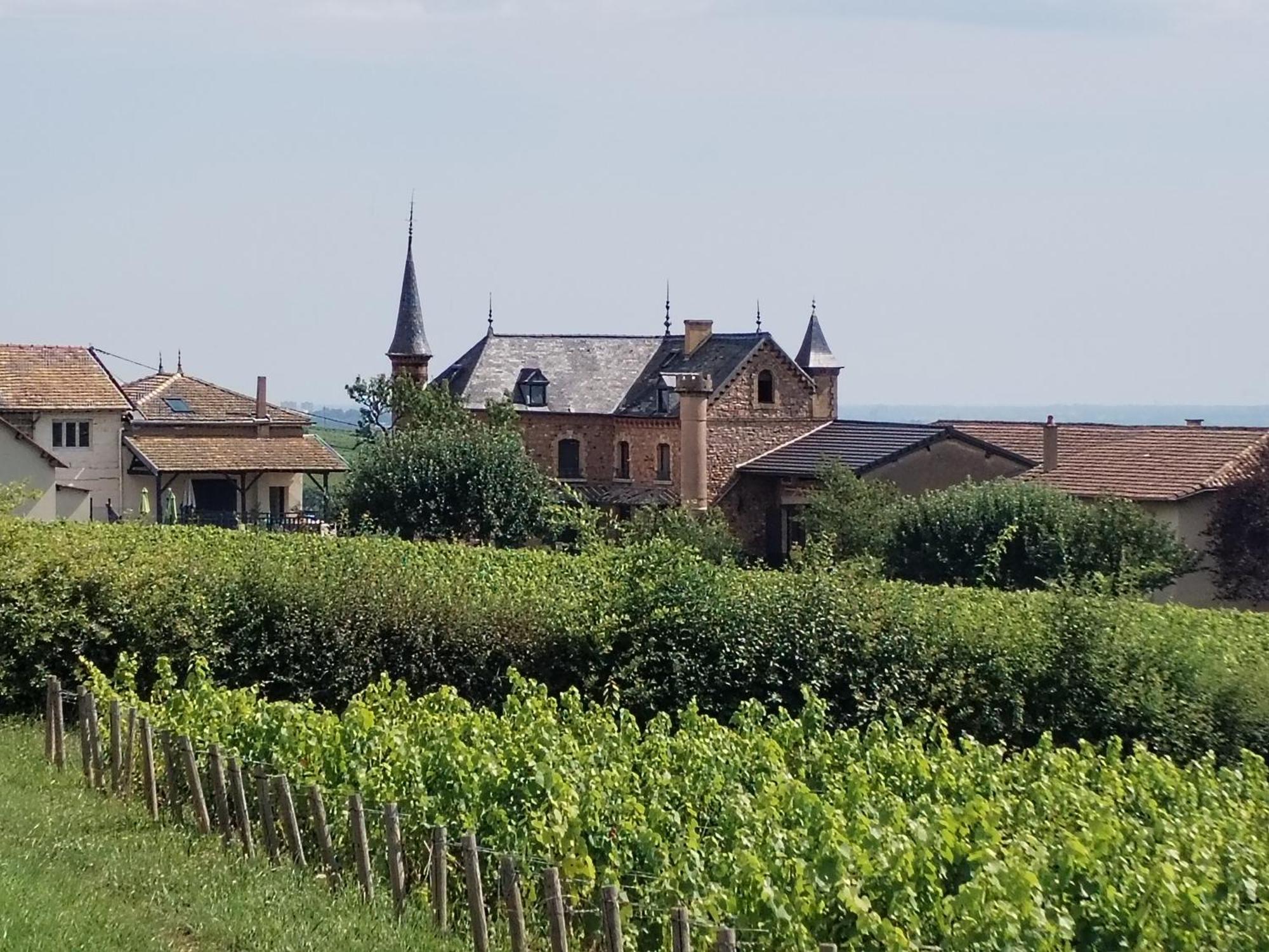 Le Petit Chateau De Sathonat - Horizon Paradis Saint-Amour-Bellevue Kültér fotó